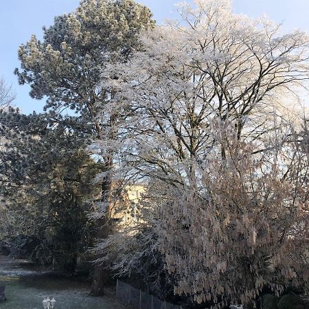 Le Jardin De Fresnes Bed & Breakfast Екстериор снимка