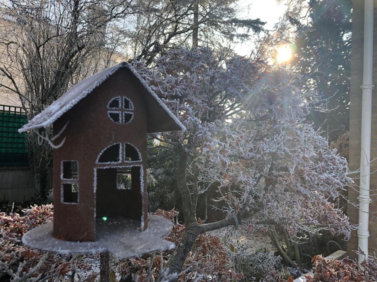 Le Jardin De Fresnes Bed & Breakfast Екстериор снимка